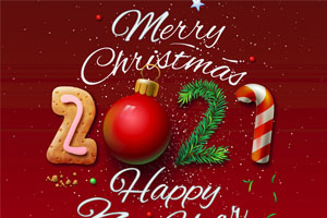 Merry Christmas and Happy new year2021